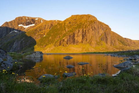 The nature reserve at Eggum. Lake Nedre Heimredalsvatnet, a few yellow blooming marsh marigolds