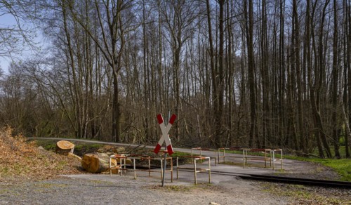 Narrow-gauge railway bed of the Raging Roland, Ruegen, Mecklenburg-Western Pomerania, Germany,