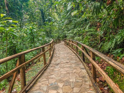 Jardin Botaniqu de Deshaies, botanical garden with flora and fauna in Guadeloupe, Caribbean, French