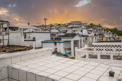 Famous cemetery, many mausoleums or large tombs decorated with tiles, often in black and white.