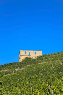 Yburg, Y-Burg, Yberg, Eibenburg, ruins of a hillside castle, historic building, built in the early