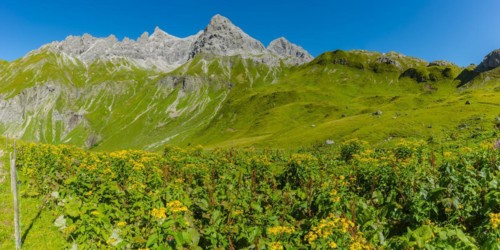 Panorama from the Kemptner Huette, 1844m, to the Muttlerkopf, 2368m, Allgaeu Alps, Allgaeu,