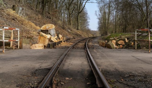 Narrow-gauge railway bed of the Raging Roland, Ruegen, Mecklenburg-Western Pomerania, Germany,