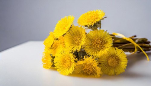 Coltsfoot flowersDandelion in a transparent vase, minimalistically arranged with a reflection,