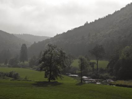 Valley of the Danube, Upper Danube nature park Park, Tuttlingen district, Baden-Wuerttemberg,