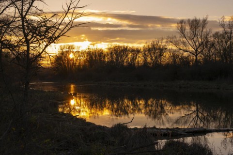 Evening mood, sun, water, Lower Austria