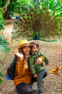 A mother and child smiling together with a male Indian peacock open because it is in heat looking