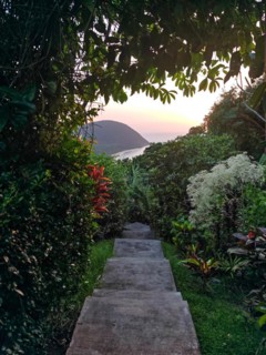 Jardin Botaniqu de Deshaies, botanical garden with flora and fauna in Guadeloupe, Caribbean, French