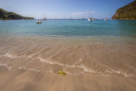 A beach in the Caribbean on the Atlantic coast in Deshaies, Guadeloupe, French Antilles, North