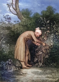 William Cowper (born 26 November 1731 in Berkhamstead, Hertfordshire, died 25 April 1800 in East