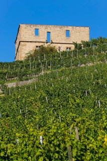 Yburg, Y-Burg, Yberg, Eibenburg, ruins of a hillside castle, historic building, built in the early
