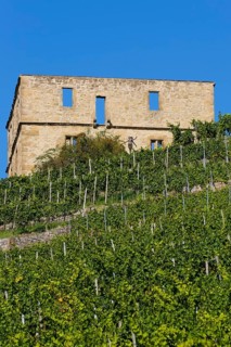 Yburg, Y-Burg, Yberg, Eibenburg, ruins of a hillside castle, historic building, built in the early