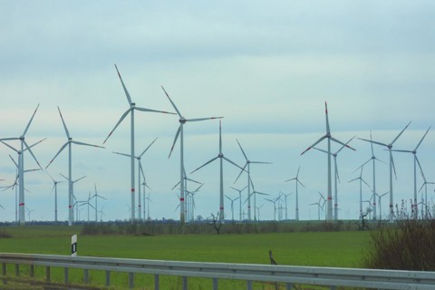 Wind turbines on the A 9 motorway, Saxony-Anhalt, Germany, Europe