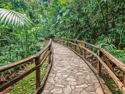 Jardin Botaniqu de Deshaies, botanical garden with flora and fauna in Guadeloupe, Caribbean, French