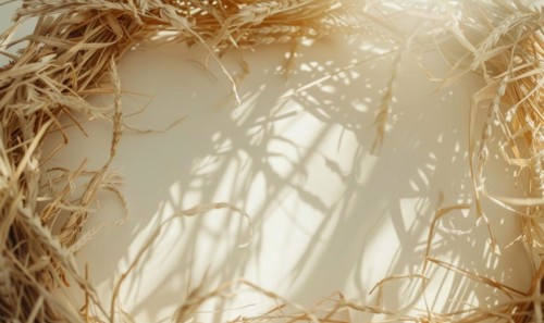 Delicate dry grass frame on minimalistic flat background, space for text AI generated