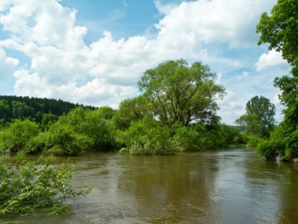 Ford of the Danube seepage point at high water level, Immendingen, Tuttlingen district,