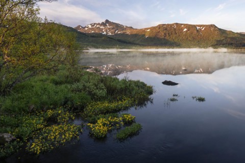 Landscape in the Lofoten Islands. Lake Lilandsvatnet with mountains in the background. Yellow