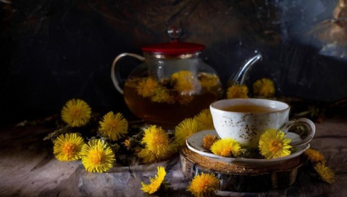 Atmospheric depiction of tea time with coltsfoot flowers, cup and teapot, coltsfoot tea, medicinal