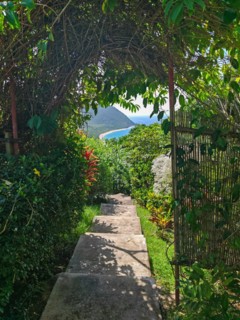 Jardin Botaniqu de Deshaies, botanical garden with flora and fauna in Guadeloupe, Caribbean, French