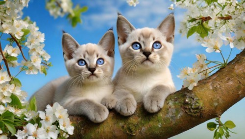 KI generated, animal, animals, mammal, mammals, cat, felidae (Felis catus), two kittens resting in