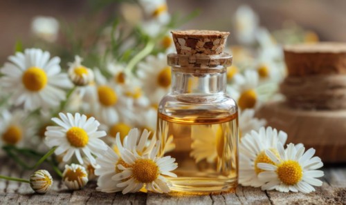 Chamomile essential oil in a dropper bottle, closeup view, skin care cosmetic background AI