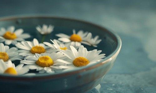 Daisies floating in a bowl of water, close up AI generated