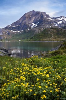 Landscape on the Lofoten Islands. View of the sea, Kakersundet, and the mountain Narvtinden on