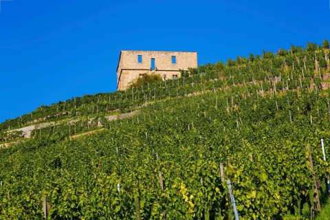 Yburg, Y-Burg, Yberg, Eibenburg, ruins of a hillside castle, historic building, built in the early