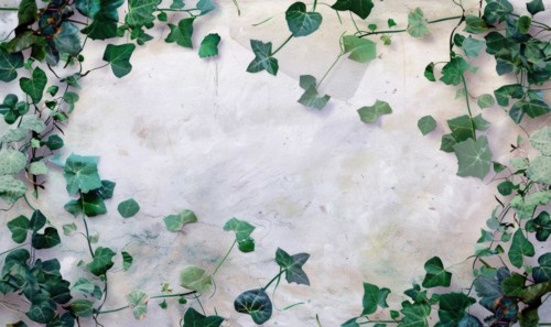 Watercolor flowers and lives, floral background space for text AI generated