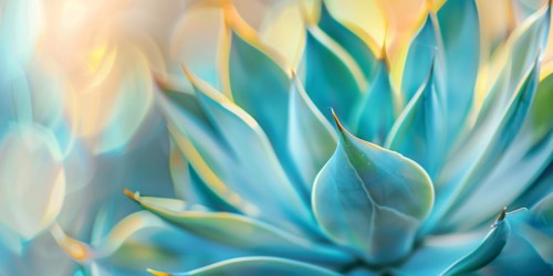 Close up of Agave plant. KI generiert, generiert, AI generated