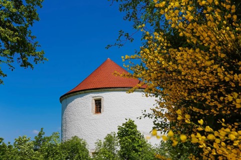 Wildenstein Castle, Spornburg, medieval castle complex, best preserved fortress from the late