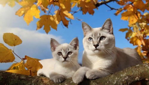 AI generated, animal, animals, mammal, mammals, cat, felidae (Felis catus), a cat and a kitten