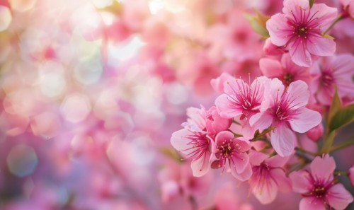 Blooming cherry blossom tree, closeup view, selective focus, bokeh AI generated