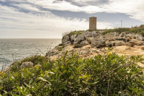 Photo of the Torre del Serral dels Falcons, Mallorca, Spain, Europe