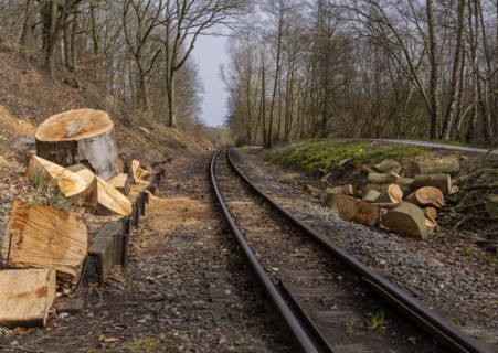 Narrow-gauge railway bed of the Raging Roland, Ruegen, Mecklenburg-Western Pomerania, Germany,