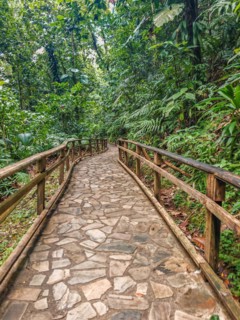 Jardin Botaniqu de Deshaies, botanical garden with flora and fauna in Guadeloupe, Caribbean, French