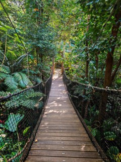 Jardin Botaniqu de Deshaies, botanical garden with flora and fauna in Guadeloupe, Caribbean, French