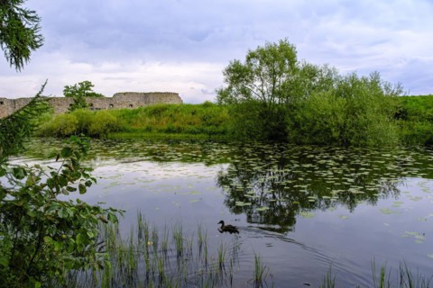 Kronoberg Castle Ruins (Kronobergs slottsruin), Vaexjoe, Smaland, Kronobergs laen, Sweden, Europe