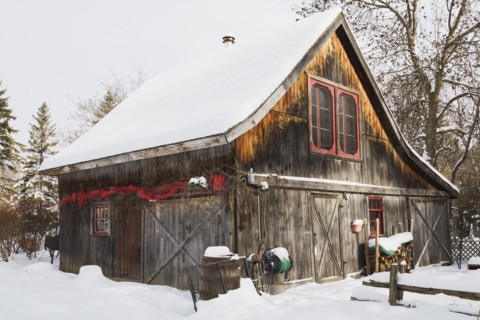 Old wooden rustic barn with red trimmed windows and Christmas decorations in winter, Quebec,