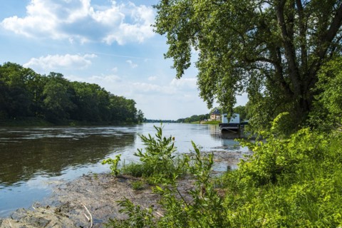 Landscape on the banks of the Elbe, Pillnitz steamer landing stage, Dresden, Saxony, Germany,