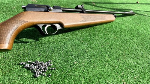 Detail of a shotgun and buckshot on a green background. Illegal hunting is quite common and is