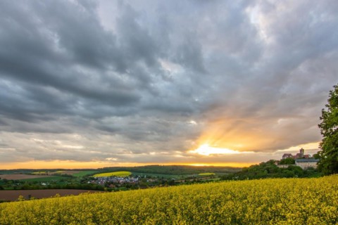 Landscape at sunrise. Beautiful morning landscape with fresh yellow rape fields in spring. Small