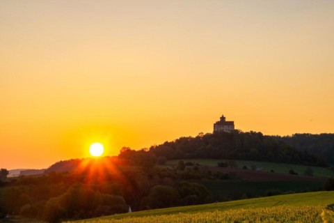 Landscape at sunrise. Beautiful morning landscape with fresh yellow rape fields in spring. Small