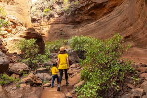 Walking on a child in the limestone canyon Barranco de las Vacas on Gran Canaria, Canary Islands