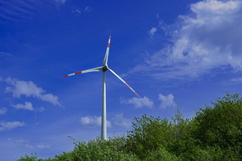 Wind turbine behind green trees at the Avacon substation Helmstedt, Helmstedt, Lower Saxony,