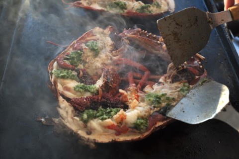 Cooked lobster (homarus) with caviar, vegetables and garlic butter on a plancha, Atlantic coast,