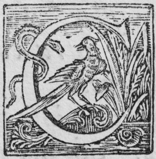 Initial or an initial C, decorative initial letter, woodcut, Mark Catesby, Natural History of