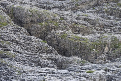 Gottesacker plateau, karst landscape, Kleinwalsertal, Vorarlberg, Allgaeu Alps, Austria, Europe