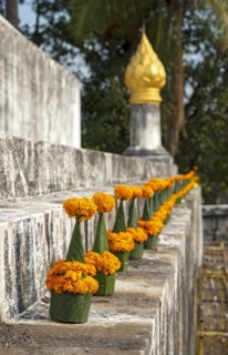 Orange-colored marigold flowers used to pay respect and homage to Buddha, Wat Wisunarat temple,