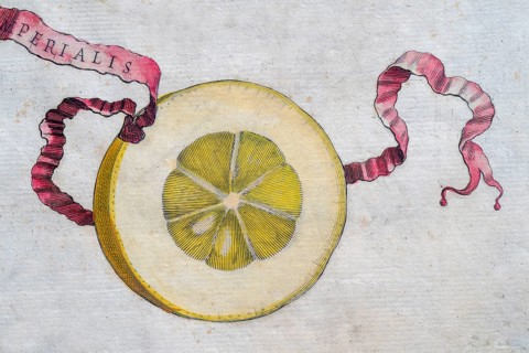 Simon Imperiales, citrus fruit, hand-coloured copperplate engraving from Giovanni Baptista Ferrari